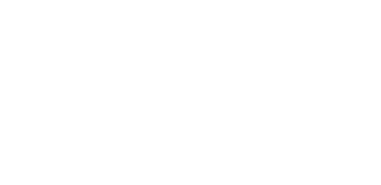 NEMBA organization logo is a silhouette of a mountain with a trail path going up the mountain.