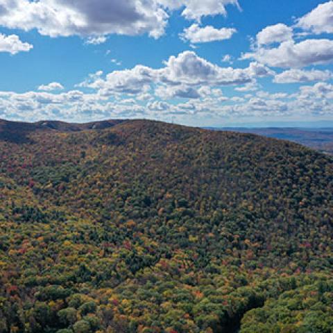 Shaker Ridge Trails in Western Massachusetts